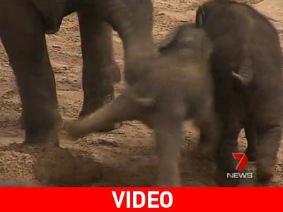 Θέλει και η μαμά την ησυχία της…